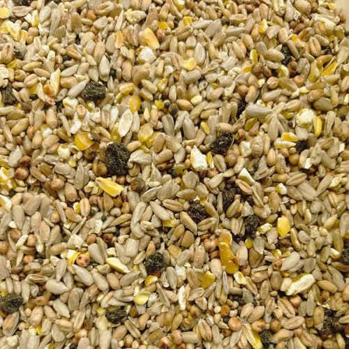 1kg Johnston & Jeff Superior Wild Bird Food With Fruit