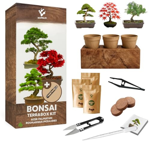 NOPALIA® Bonsai-Set 3 Bio-Arten Bereit zum Wachsen mit Profi-Werkzeugen (Pinzette, Schere, Pipette), Töpfen, Erde & Innovativer Basisbox - 95% Keimgarantie - Zen-Geschenkidee zu Weihnachten Made in