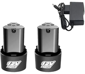 Lot de 2 Batteries Lithium-ION Rechargeables universelles 12 V avec Chargeur for Tournevis électrique, perceuse électrique et Mini meuleuse d'angle(2pcs 2Ah Charger)