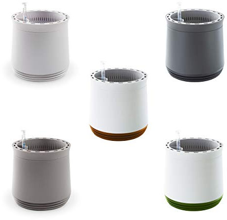 AIRY POT - innovadora maceta purificadora de aire 100% eficaz - Purificador de aire natural con plantas de interior sin electricidad ni químicos (Honey Mustard)