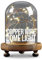 iN Home Copper Wire LED Dome Light with Remote - 20 LED Fairy Lights on 2M Long Copper Wire with Glass Dome and Wooden Base - Perfect Home Decor or Table Centrepiece Decoration
