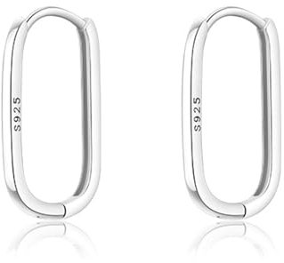 HUGE TOMATO 925 Sterling Silber Ohrringe Creolen silber 925 klein Ohrringe,Hypoallergene Silber Creolen für Damen Freundin Elegante Geschenkidee zu Geburtstag, Valentinstag, Muttertag