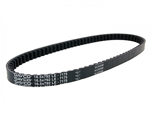 DAYCO 7175 V-Ribbed Belt
