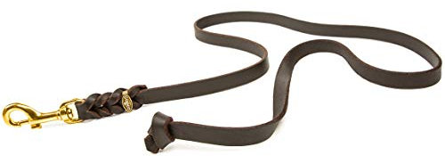 CopcoPet Hundeleine geflochten ohne Handschlaufe, Führleine ist aus robustem Fettleder mit Karabiner aus Messing, perfekt für große, mittlere und kleine Hunde, 7,50 m x 12 mm in Braun