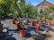 Sunny Tree - Palmier - Trachycarpus fortunei - Rustique jusqu'à -18 - Palmier chinois - Hauteur : 120 cm