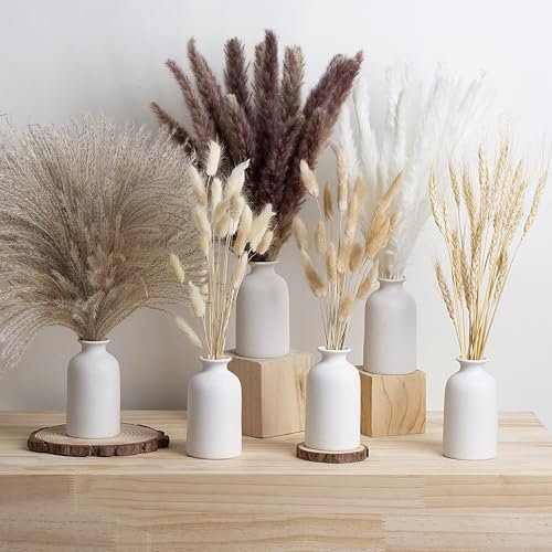 Parlamain Lot de 6 vases en céramique blanche avec 100 herbes de la pampa séchées, petits vases esthétiques bohèmes pour centres de table de mariage, décoration de salon, décoration de table à manger,