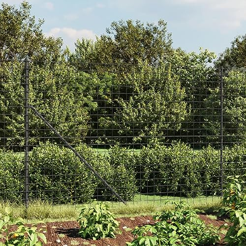 IKAYAA Malla Metálica Valla Ovejas Ganadera Malla Ganadera de Alambre Valla De Jardín Cerca de Alambre Valla de Salvaje Pesado Valla Forestal 1.6 x 25 m Antracita