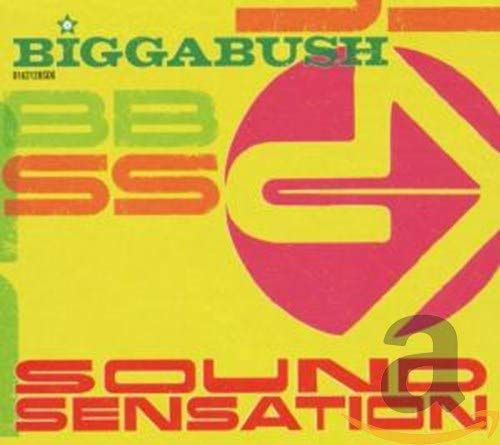 Biggabush-Sound Sensation
