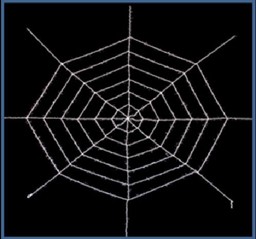 joka international GmbH Dekoration Spinnennetz XXL Format in schwarz oder weiß wählbar 15172 Halloween (Weiss)