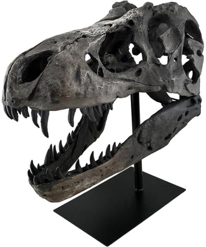 JOTNBOBO Dinosaurier-Totenkopf-Statue, Dinosaurier-Skulpturen, Halterung, Tyrannosaurus-Schädel, Nachbildung, Dekoartikel Totenknochen, Harz-Nachbildung mit Halterung, für Zuhause, Büro, Dekoration