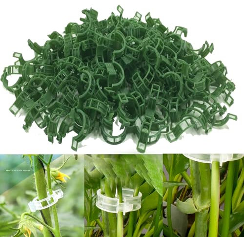 100 Stück Tomaten Rankhilfe, Pflanzenclips für Kletterpflanzen, Pflanzenklammern Praktischer Pflanzenstützclips Rankhilfe Tomaten Pflanzenstützklammer, Tomatenhaken für Auberginen Obst Gemüse (Grün)