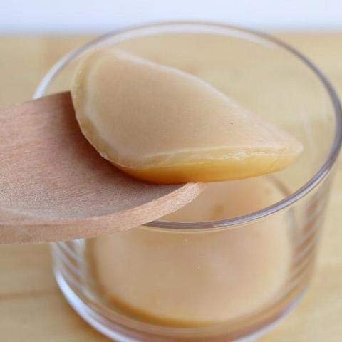 Kombucha Teepilz (14 cm) *groß* / Skoby mit Starter Fluid - Goodrinks