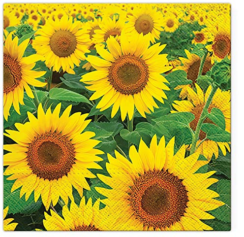 Tete a Tete 3Ply Pastel Flowery Tissue Paper Napkins Decoupage Serviettes 33cm x 33cm - Pack of 20 (Sunflowers Field)