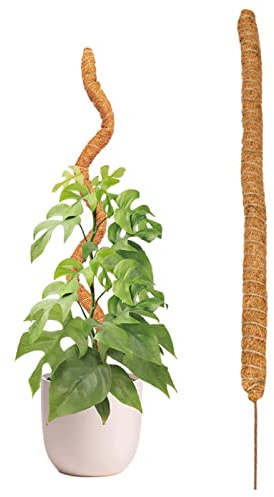 Bastone di Muschio Pieghevole in Fibra di Cocco, Pali da Arrampicata, prolunga per Piante Monstera | Treno Monstera Philodendron Pothos Creeper per Crescere Piante