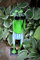 Gwenys Haus Gartenfigur Frosch Spanner Badehose blau