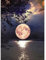 DPIDEA Diamond Painting Erwachsene, Mond Diamond Painting 5D Diamant Painting Bilder, DIY Diamant Malerei Runde Steine für Zuhause Dekor 30x40 cm