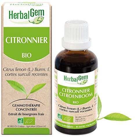 HerbalGem Citronnier Bio Macérat-Mère de Gemmothérapie Concentrée 30 ml