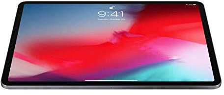 Apple iPad Pro 11 inches A12X 256GB Wifi + Camera Ios12 Space Grau (Generalüberholt)