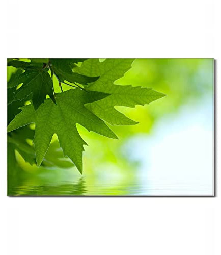 banjado Glas Magnettafel 120x80cm / Magnetwand Glas/Magnetpinnwand als Memoboard Glas/Pinnwand Magnettafel Küche, Büro, Kinderzimmer inkl. 4 Magnete & Montageset - Blättertraum