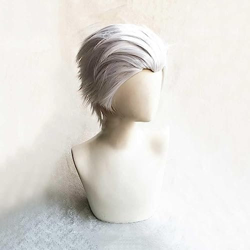 NEZIH Cosplay Perücke,Hidan Cosplay Perücke,Silver Grey Short Perücke,Mit Kostenloser Perückenkappe,Halloween Kostüm Perücke,Für Party Karneval Weihnachten, Dekorative Accessoires