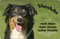 Nanyuk +++ Australian Shepherd - Metall Warnschild Schild Hundeschild Sign - ASD 04 T1