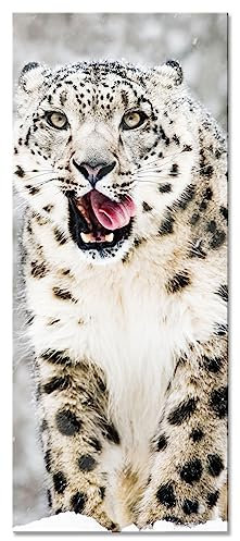 Pixxprint Glasbild Panorama, Wandbild aus Echtglas, Leopard im Schnee, 120x50 cm, inkl. Aufhängung und Abstandshalter