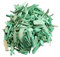 mamikatou Copeaux de Bois paillage Deco Vert Clair en 10L