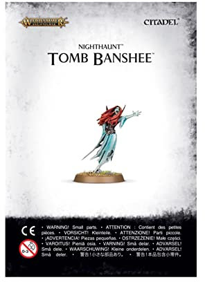 Games Workshop 99070207003 Fine Cast Vampire Counts Tomb Banshee Actionfigur