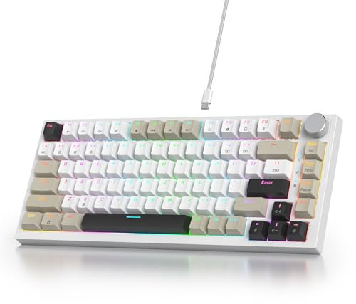 SOLIDEE Clavier de jeu mécanique filaire 75%,clavier hot swappable,Clavier Mécanique Gasket,clavier de jeu mécanique compact rgb,rétroéclairage,82 touches Clavier NKRO avec bouton(82 Black Gray White)