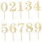 FOYTOKI Elegant 20 Pcs Acrylic Number Cake Picks Party Cake Decorations Blocks for Birthday Celebration