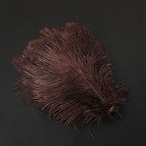 10 Stück 30-35cm Natürliche Straußenfedern,Strauß Feder zum Basteln,Bastel Federn für DIY Traumfänger Zubehör,Heimdekoration,KostüMe,Tischdeko Hochzeit Party Fest Hüte Kleidung Dekoration,Kaffee