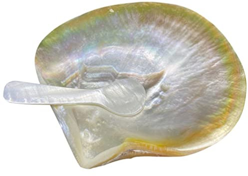 Cabilock 1 Jeu Vaisselle Coquillage Plateau Assiette de Salade d'hôtel Couverts Plat Polyvalent Assiettes de Service Caviar Coquille Une Assiette de Dessert Nourriture Assiette de Diner