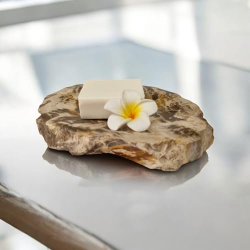 Seifenschale versteinertes Holz - 10x15cm Naturstein Seifenablage in moderner Optik, Badezimmer Accessoire