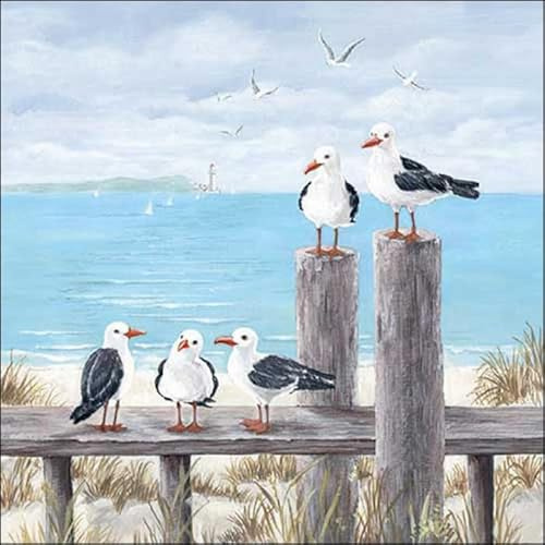 Ambiente Geschirrtuch Küchentuch Trockentuch 50x70cm 100% Baumwolle Möven Meer Serie Seagulls on The Dock