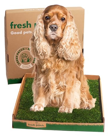 Fresh Patch Real Grass Patch for Dogs, Cats, and Large Pets 15-30 Pounds – Disposable Pet Grass Pee Pads – Indoor and Outdoor Potty Training Mat (24 Inches x 24 Inches)