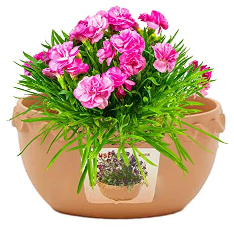 Aznever Almacenamiento para Manguera jardín | Maceta con Drenaje | Estilo Encaje Arcilla Maceta, Rejilla filtración, diseño suspensión Pared para Colgar fácilmente