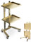 Generisch 2-Stöckiger Salon-Tablett auf Rädern, Metall-Rollwagen, Edelstahl-Salonwagen, klappbarer Salon-Tablett-Trolley, Rollender Tablett-Salonwagen für Tattoo-Friseur(Gold)