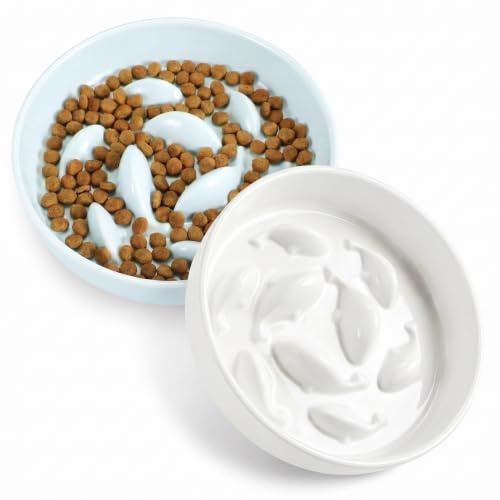 PETTOM Lot de 2 Gamelle Anti Glouton Chat Céramique | Anti Vomissement, Manger Lentement (Blanc et Vert, Baleine)