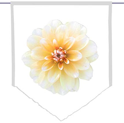 gardinen-for-life Scheibenhänger spitz kollane Lill, Voile Transparent, Edler Scheibenhänger aus Feiner Voile in Verschiedenen Größen, Tolles Blumenmotiv (HxB 125x90cm)