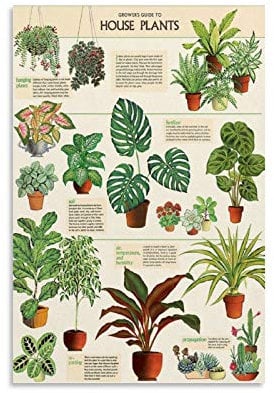 ERGF House Plants Vintage Style Poster Decorative Painting Canvas Wall Art Living Room Posters Bedroom Painting 24x36inch(60x90cm)