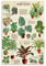 ERGF House Plants Vintage Style Poster Decorative Painting Canvas Wall Art Living Room Posters Bedroom Painting 24x36inch(60x90cm)