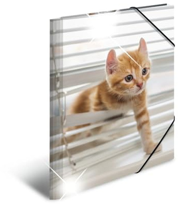 HERMA Sammelmappen A3 Katzen Set, 3 Stück, Kinder Eckspanner-Mappen aus Kunststoff mit Tier Motiv, Hochglanz-Optik, Gummizug, Innenklappen und Innendruck für Jungen und Mädchen