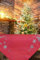 KAMACA Tischdecke Mitteldecke 85x85 cm mit filigraner Stickerei Küche Esstisch Tisch Dekoration Eyecatcher in Herbst Winter Weihnachten (Tannenbäume rot)