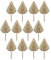 Potadak 12 piezas hojas de palma secas de palmeras secas bohemio lanzas de palma secas plantas artificiales hojas de tropicales