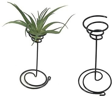 Sosoport Regalpflanzen Zimmerpflanzen Ananas Blumentopf Zimmerpflanzentöpfe