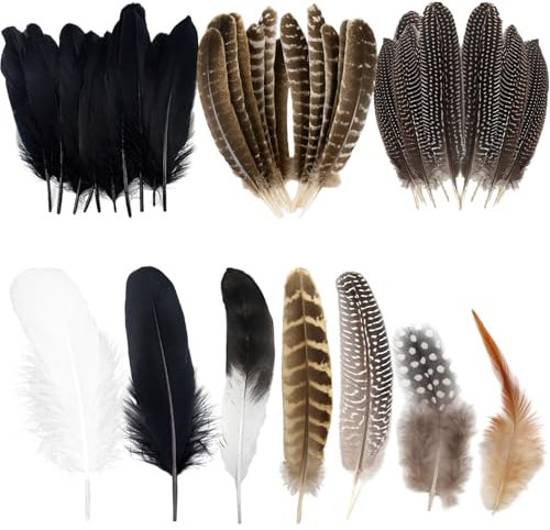 RobLuX 90 Stück Federn Natur Dekoration Lang Fasan Feder 7 Stile Federn zum Basteln Halloween Dekoration für DIY Traumfänger Masken Party Bastelbedarf