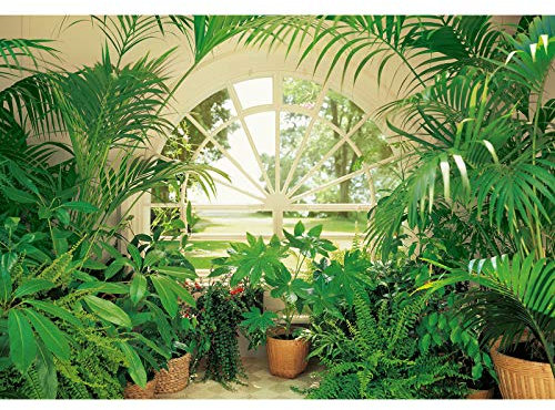 Fensterblick Fototapete in Grün | Garten Fototapete mit 3D Effekt Fenster | Schlafzimmer Tapete mit Wintergarten Motiv und Pflanzen