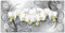 ARTland Wanddeko Wandbild Alu für Innen & Outdoor Metall Bild 100x50 cm Querformat Abstrakte Bilder Blumen Blüte Orchideen Kunst Abstrakt Weiß U1QV