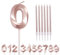 Rose Gold Birthday Candle Number 0, Age 1234567890, Long Candles for Cake Topper Decorations, Rose Pink