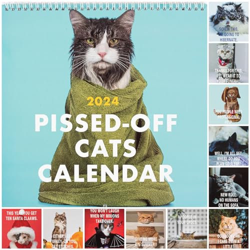 Pissed-Off Cats Kalender 2024 – Lustiger Katzen-Wandkalender, Kreativer Kalender, Katzen-Hängekalender, 12-Monats-Katzenkalender Mit Hässlicher Katze, Lustige Kunst, Neuheit, Hässliche Katze, Geschenk